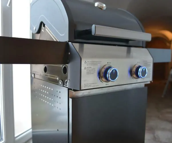 Paulick I Zentrales Altstadtapartment I Garten Terrasse Grill I 4 Personen Apartment Bautzen